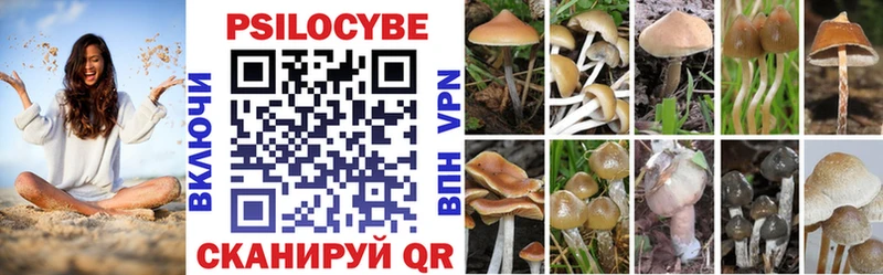 Купить закладки  Солигалич  Псилоцибиновые грибы прущие грибы 